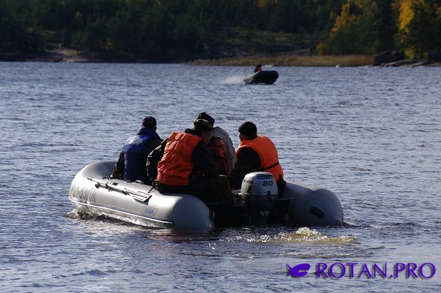 Ротан Р 380 К Ротан Р 380 К